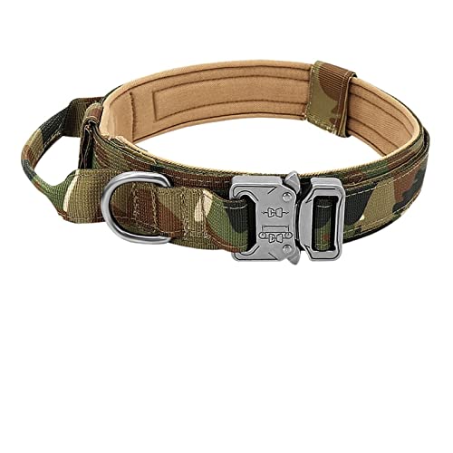 Hundehalsband, verstellbares Nylonhalsband, mittelgroßes bis großes Gehtraining, Haustierzubehör (Color : Camo, Size : M) von ELSAIL