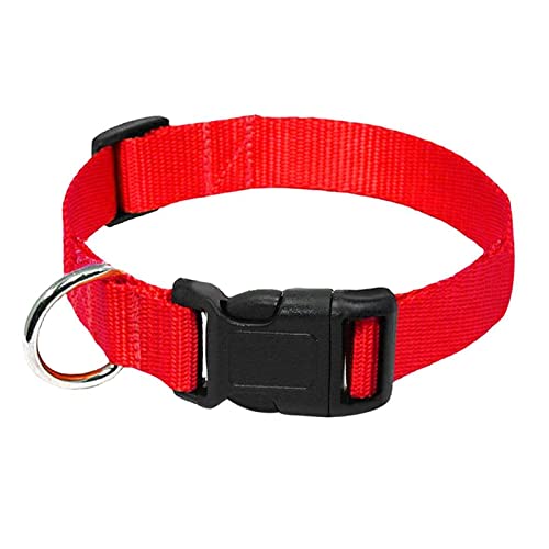 Hundehalsband aus Nylongewebe, strapazierfähiges Clip-On-Halsband for kleine bis mittelgroße Hunde (Color : Red, Size : S) von ELSAIL