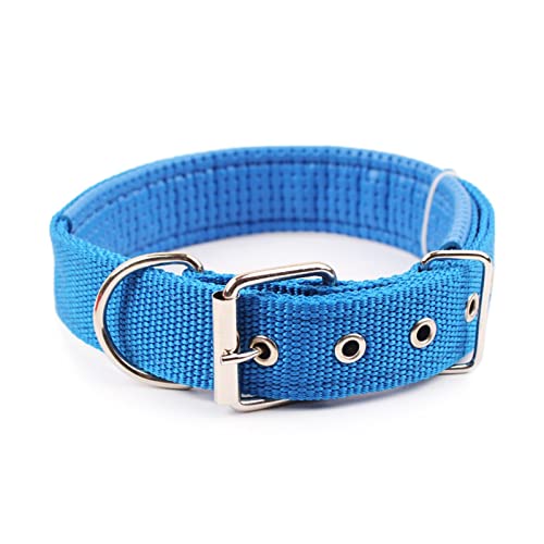 Pet Collar Komfortabler, Verstellbarer Nylonriemen, Hundehalsband, Katzenhalsband (Color : Blue, Size : M) von ELSAIL