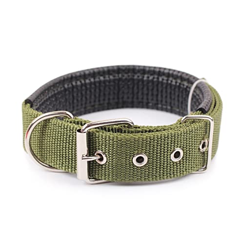 Pet Collar Komfortabler, Verstellbarer Nylonriemen, Hundehalsband, Katzenhalsband (Color : Green, Size : L) von ELSAIL