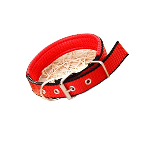 Pet Collar Komfortabler, Verstellbarer Nylonriemen, Hundehalsband, Katzenhalsband (Color : Red and Black, Size : S) von ELSAIL