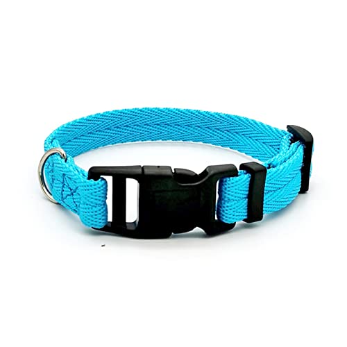 Welpenhalsband Einfarbiges Welpenhalsband Mittelgroßes Hundetrainingshalsband Kleines Hundehalsband (Color : Blue Dog Collar, Size : L (28-40cm)) von ELSAIL