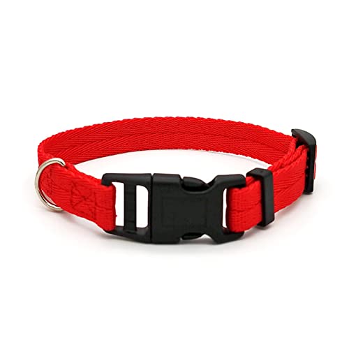 Welpenhalsband Einfarbiges Welpenhalsband Mittelgroßes Hundetrainingshalsband Kleines Hundehalsband (Color : Red Dog Collar, Size : L (28-40cm)) von ELSAIL