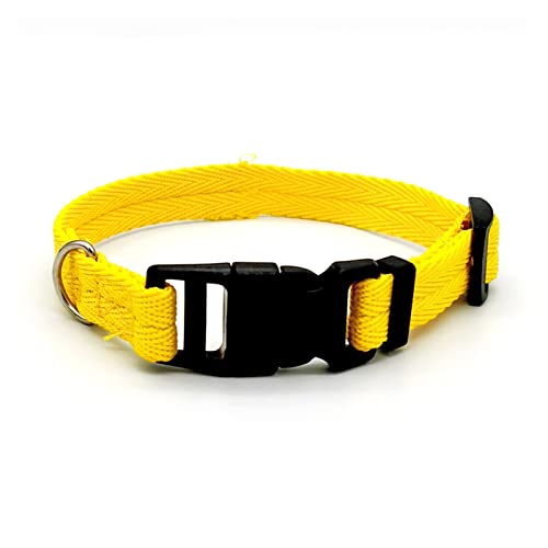 Welpenhalsband Einfarbiges Welpenhalsband Mittelgroßes Hundetrainingshalsband Kleines Hundehalsband (Color : Yellow Dog Collar, Size : L (28-40cm)) von ELSAIL