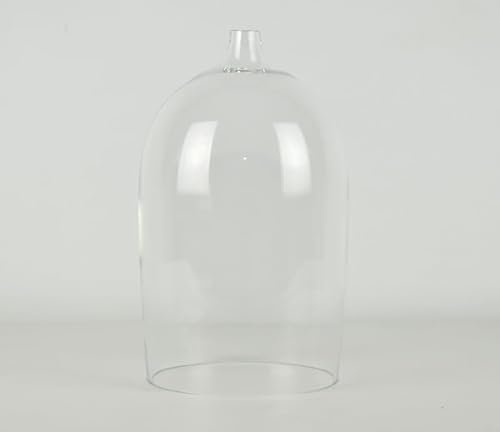 EMH Glaskuppel für Terrarium, 24 x 13,3 cm, mit Loch von EMH
