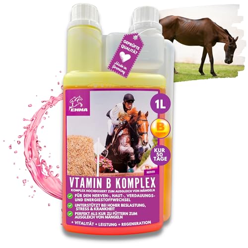 Vitamin B Komplex Pferd 1L Liquid I Vitamin B hochdosiert für Pferde & Pony mit Vitamin B1, B2, B6, B12, B-Vitamine I VIT b Complex Unterstützung Muskulatur, Immunsytem, Nerven- Energiestoffwechsels von EMMA