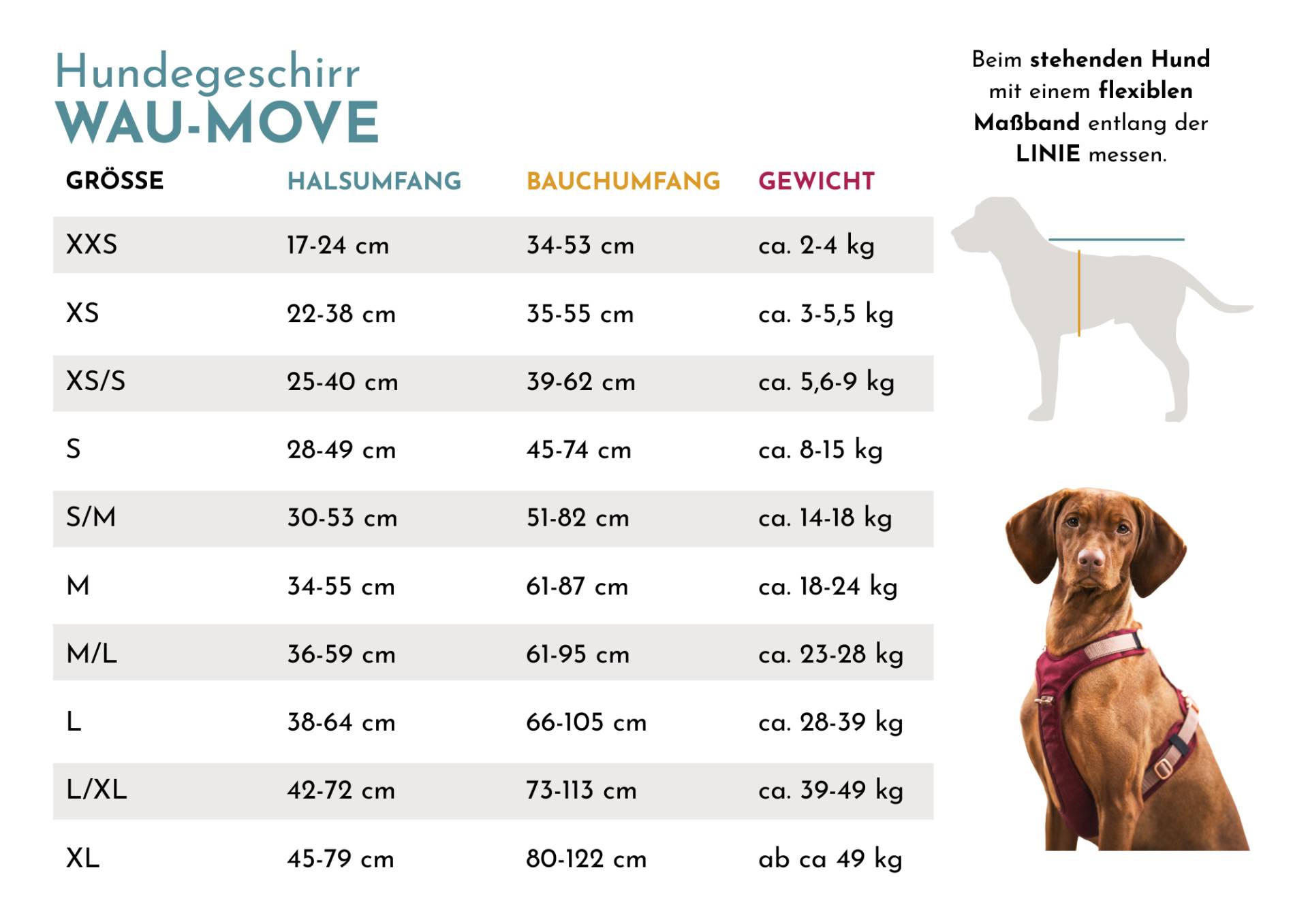 Hundegeschirr mit Halsöffnung Heart M/L Hundegeschirr mit Halsöffnung Heart M/L von EMMY&PEPE