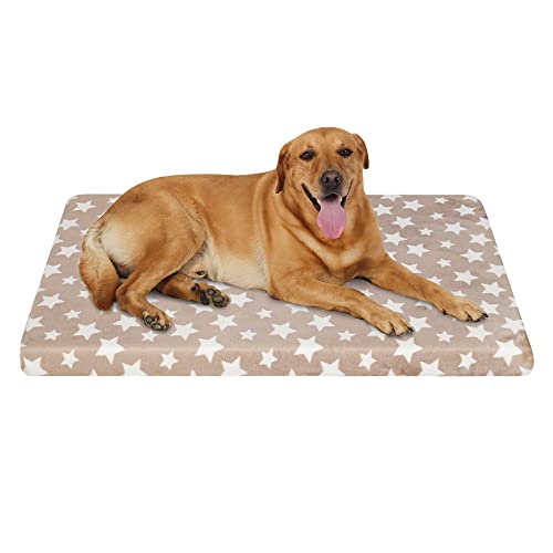 EMPSIGN Hundebett, Hundekissen passend für Käfige, Hundematte mit Abnehmbarem und waschbarem Bezug für große Hunde, Hundebett Wasserdicht XL 107x71cm, 6.6cm Höhe, Beige von EMPSIGN