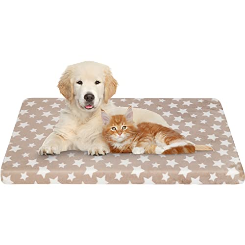 EMPSIGN Hundebett, Hundekissen passend für Käfige, Hundematte mit Abnehmbarem und waschbarem Bezug für kleine Hunde, Hundebett Wasserdicht S 61x46cm, 6.6cm Höhe, Beige von EMPSIGN