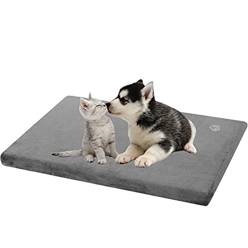 EMPSIGN Hundebett kleine Hunde Hundekissen Waschbar, Hundebett Wasserdicht S 59x41x7.6cm, Hundekissen passend für Käfige, Hundematte mit Abnehmbarem und waschbarem Bezug für kleine Hunde, Grau von EMPSIGN