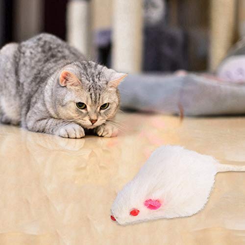 EMUKOEP 12 Stück Haustier Katzenspielzeug Kleine Plüschmaus Mini Lustiges Katzenspielzeug Gefälschte Maus Kätzchen Katze von EMUKOEP