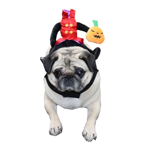 Reiter-Hundekostüm, Lustiges Ritter-Hundekostüm, Niedliches Lustiges Hunde-Halloween-Kostüm, Cosplay-Bekleidung, Kleidung für Kleine Hunde, Welpen, Haustiere von EMUKOEP