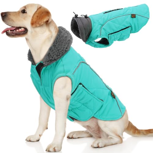 EMUST Dog Coats Winter, Thick Dog Clothes for Medium Dogs Boy, Coats for Dogs Winter with Harness Hole, Dog Coats for Cold Weather, Turquoise, M von EMUST