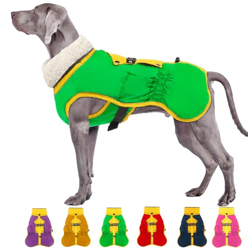 EMUST Dog Winter Coat, Dog Winter Jacket for Small Medium Large Dogs,Green L von EMUST