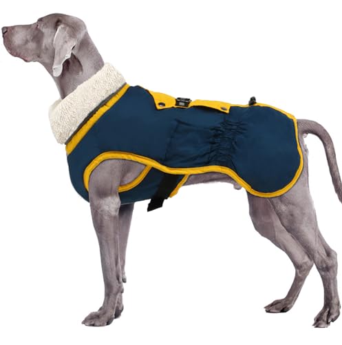 EMUST Hundemantel, Winddichte Hundewinterjacke mit faltbarem Rollkragen, große Hundemäntel für kalte Winter, Dicke Haustierbekleidung mit Schnallen für extra große Hunde, Blau XL von EMUST