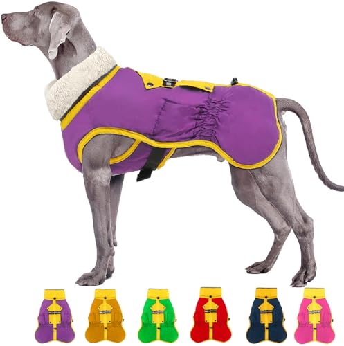 EMUST Hundemantel, Winddichte Hundewinterjacke mit faltbarem Rollkragen, große Hundemäntel für kalte Winter, Dicke Haustierbekleidung mit Schnallen für extra große Hunde, Lila XL von EMUST