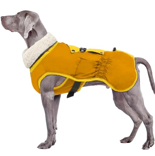 EMUST Hundemantel für den Winter, Fleece-Rollkragen-Hundemantel für drinnen und draußen, warme Hundewesten für den Winter, Hundekleidung für extra große Hunde, Orange XXL von EMUST