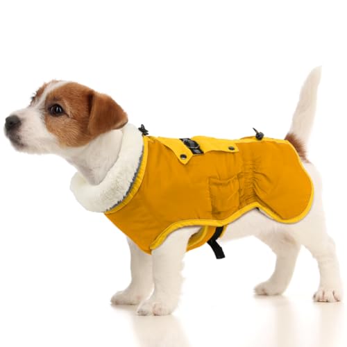 EMUST Hundemantel für kaltes Wetter, Winterjacke für Hunde mit verstellbarem Kordelzug, Hunde Mantel für den Winter mit warmem Innenfleece, Hundejacke für Welpen mittelgroße Hunde, Orange M von EMUST