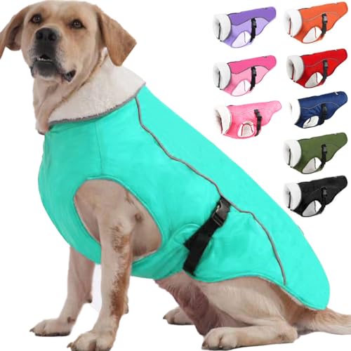 EMUST Hundejacke Winter, Winddichte Hundebekleidung für kaltes Wetter, Reflektierende Wintermäntel für Hunde, Warme Welpenjacke für Kalten Winter, Türkis, S von EMUST