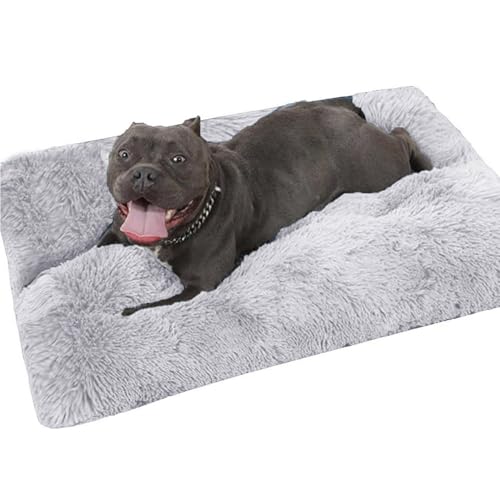 EN AyuL Großes Hundekissen Bett Flauschige Plüsch Hund und Katzenkiste Orthopädisches Hundebett Medium Abnehmbar Waschbar für Große Mittlere und Kleine Hunde (50 x 35 x 3 cm, Dunkelgrau) von EN AyuL