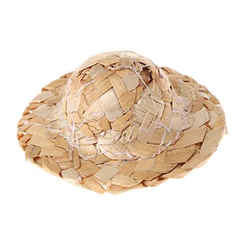 ENDUL 1PC Handmade Straw Woven Hat verstellbar für Papageienvögel Zubehör Modisch, M. von ENDUL