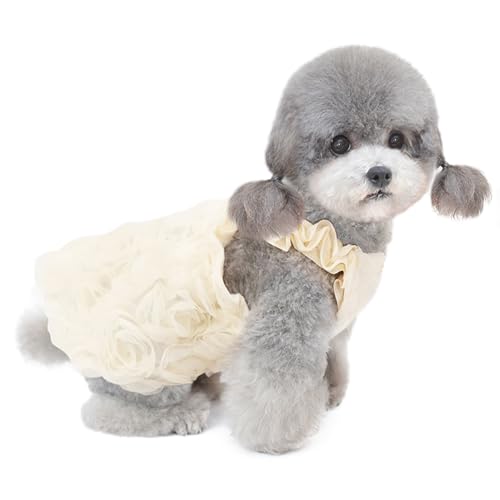 Hundekleidung für Klein Hund,Katzenkleid,Hundekleid Prinzessin Kleid für Chihuahua Pudel Marzis Yorkshire Beige L von ENGEL WEMANG