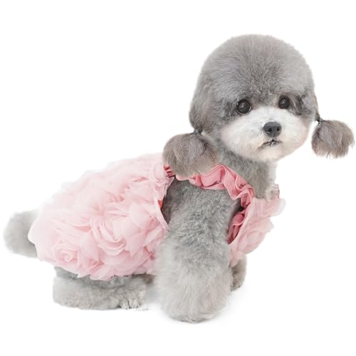 Hundekleidung für Klein Hund,Katzenkleid,Hundekleid Prinzessin Kleid für Chihuahua Pudel Marzis Yorkshire Rosa XXL von ENGEL WEMANG