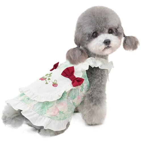 Hundekleidung für Klein Hund,Katzenkleid,Hundekleid Prinzessin Kleid für Chihuahua Pudel Yorkshire Grün XL von ENGEL WEMANG