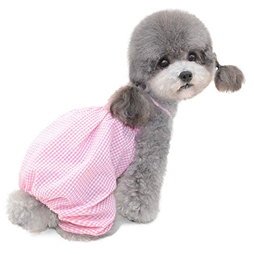 Hundekleidung für Klein Hund,Strandkleid,Katzenkleid,Hundekleid Prinzessin Kleid für Chihuahua Pudel Yorkshire(Rosa XXL) von ENGEL WEMANG