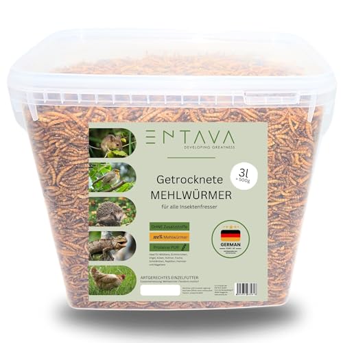 ENTAVA getrocknete Mehlwürmer Premium Qualität - Insektensnack Vögel, Fische, Koi, Schildkröten, Nager, Reptilien, Vogelfutter, Wildvögel, Igelfutter (3 Liter (500g)) von ENTAVA