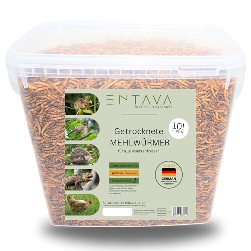 ENTAVA getrocknete Mehlwürmer Premium Qualität - Insektensnack Vögel, Fische, Koi, Schildkröten, Nager, Reptilien, Vogelfutter, Wildvögel, Igelfutter von ENTAVA