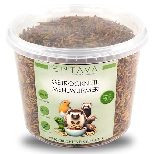 ENTAVA nachhaltige Mehlwürmer getrocknet in Premium-Qualität, Vogelfutter, Hühnerfutter, Koifutter, Igelfutter, Eichhörnchenfutter, Kükenfutter, ganzjähriges Futter für Wildvögel (10 Liter (1650g)) von ENTAVA