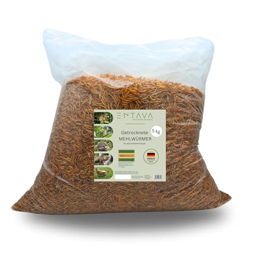 ENTAVA getrocknete Mehlwürmer Premium Qualität - Insektensnack Vögel, Fische, Koi, Schildkröten, Nager, Reptilien, Vogelfutter, Wildvögel, Igelfutter (5kg) von ENTAVA