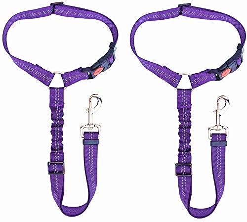 Hunde Sicherheitsgurt, 2er Pack Haustier Auto Sicherheitsgurt Leine Verstellbare Gurte mit elastischem Nylon Bungee Puffer für den täglichen Reisegebrauch (Lila) von EONYUANGUO