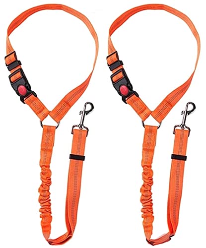 Hunde Sicherheitsgurt, 2er Pack Haustier Auto Sicherheitsgurt Leine Verstellbare Gurte mit elastischem Nylon Bungee Puffer für den täglichen Reisegebrauch (Orange) von EONYUANGUO