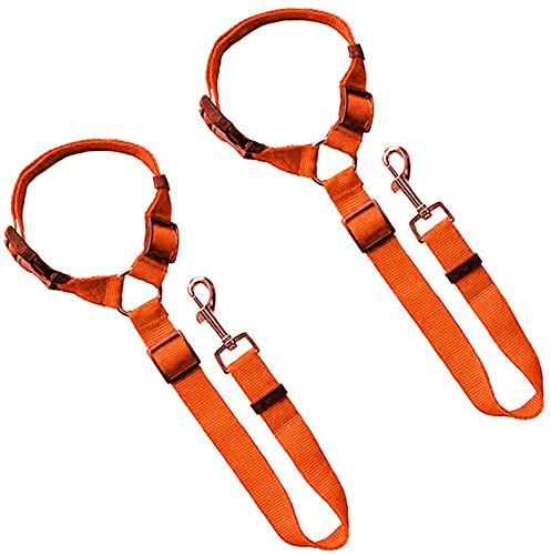 Hundeauto Sicherheitsgurt, 2er Pack Sicherheitsgurt für Haustiere Verstellbarer Anschnallgurt Einstellbar Hundesicherheitsgurt für den täglichen Reisegebrauch (Orange) von EONYUANGUO