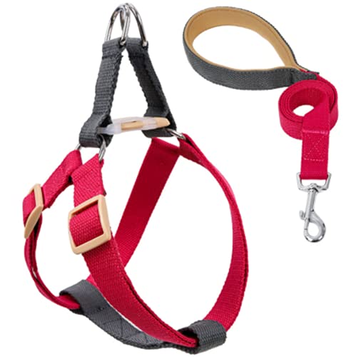 Hundegeschirr mit Leine, Verstellbare Heavy Duty No Pull Halfter Harness Har mit starkem Griff für kleine Welpen/Hunde (Bordeauxgrau, L) von EONYUANGUO