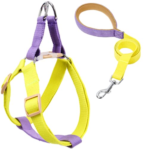 Hundegeschirr mit Leine, Verstellbare Heavy Duty No Pull Halfter Harness Har mit starkem Griff für kleine Welpen/Hunde (Lila Gelb, L) von EONYUANGUO