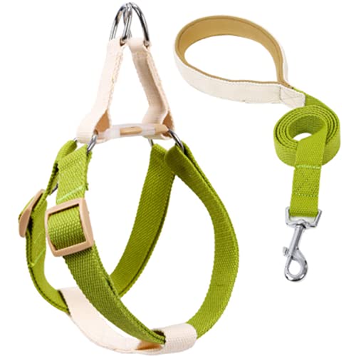 Hundegeschirr mit Leine, Verstellbare Heavy Duty No Pull Halfter Harness Har mit starkem Griff für kleine Welpen/Hunde (Weiß und Grün, M) von EONYUANGUO