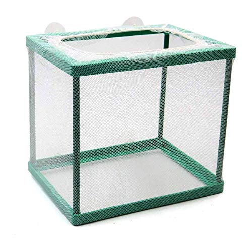 EPHIIONIY Aquarium Fischzuchtbox Fische Isolierung Box Brutkasten Jungfische Laichen Brutkasten Wasserisolierung Netz Brutkasten, grün von EPHIIONIY