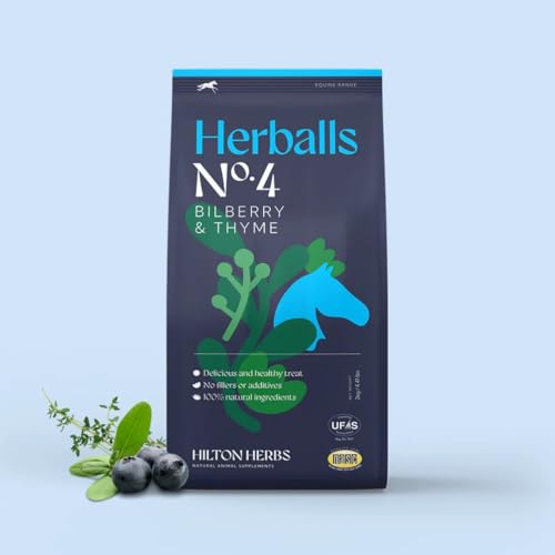 Hilton Herbs Herballs Bilberry&Thyme - Natürliche Leckerlis von EPONA