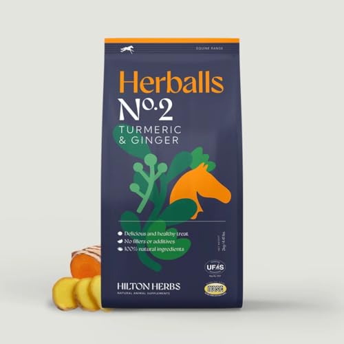 Hilton Herbs Herballs Turmeric&Ginger - Natürliche Leckerlis von EPONA