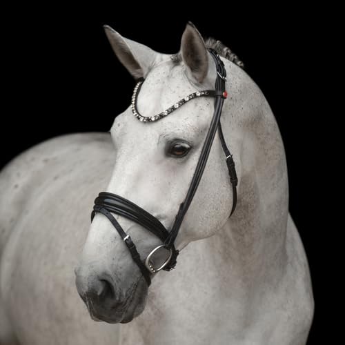 Kieffer Trensenzaum Elli - Schwarz Größe: Warmblut Farbe: schwarz/schwarz unterlegt von EPONA