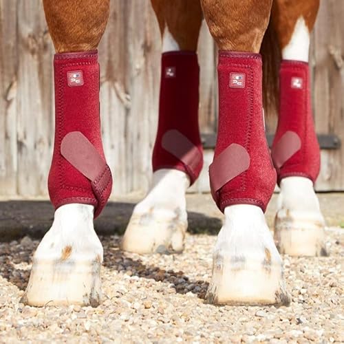 Premier Equine - Air-Tech Sports Medicine Boots XL/1 Paar - Burgundy von EPONA