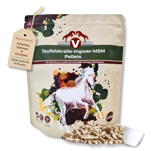 EQUIDOCS Teufelskralle-Ingwer-MSM Pellets 1,5kg | Zusatzfutter für Pferde-Gelenke mit dem Plus an Omega-3 aus Leinöl | für alte Pferde und Pferde mit strapazierten Gelenken | Teufelskralle Pferd von EQUIDOCS V GERMANY