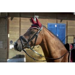 EQUITHEME Polyfun Mütze – Farben – Bordeaux, Größe Ausrüstung Pferd – Pony von EQUITHEME