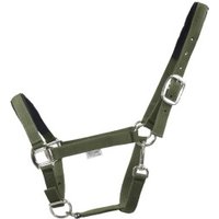 EQuest Halfter Dual Plus Nickel oliv WB (Warmblut) von EQuest