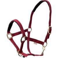 EQuest Halfter Dual Plus bordeaux WB (Warmblut) von EQuest