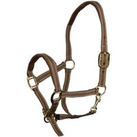 EQuest Halfter Dual Plus beige WB (Warmblut) von EQuest