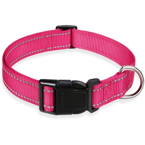 Hundehalsband, Nylonband für Anti-Bell-Halsband, Adjuatbale-Halsband für Katzen und Hunde, 5–120 BLs von ERDFCV